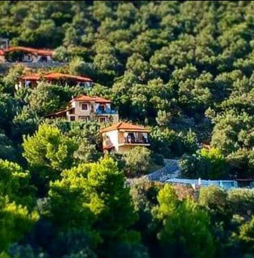 Skiathos Garden Cottages Экстерьер фото